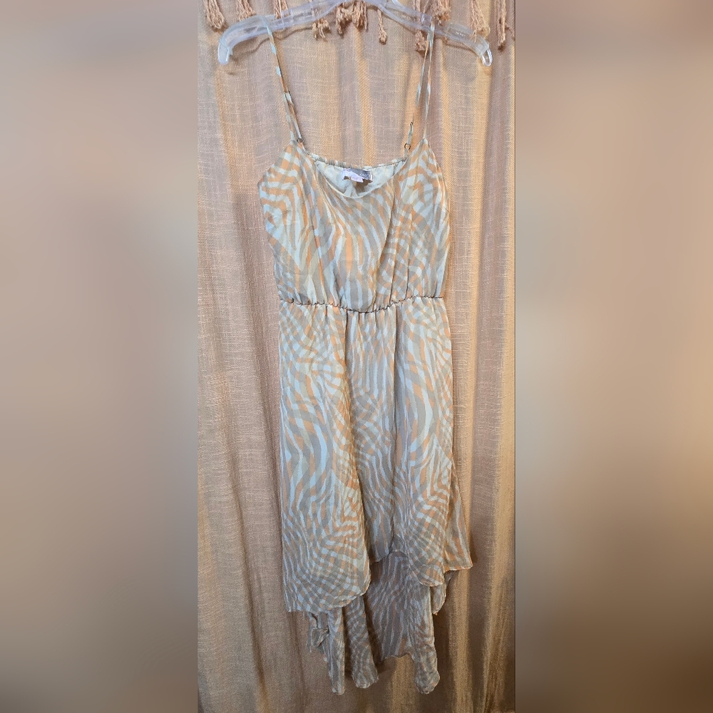 Loves 21 Chic Zebra Print Spaghetti Strap Dress - Picture 2 of 5